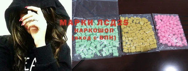 молекула духа Ельня