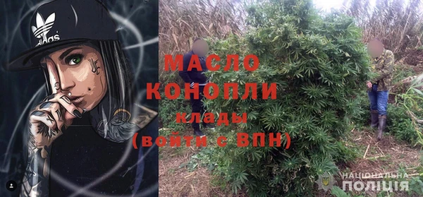молекула духа Ельня
