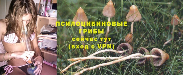 ешки Елизово