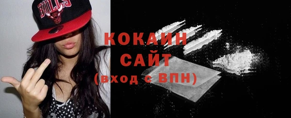 молекула духа Ельня