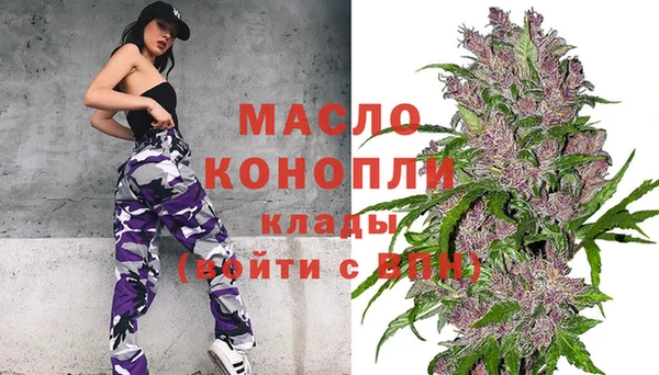 молекула духа Ельня
