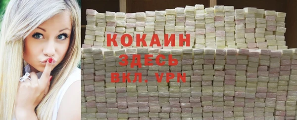 молекула духа Ельня