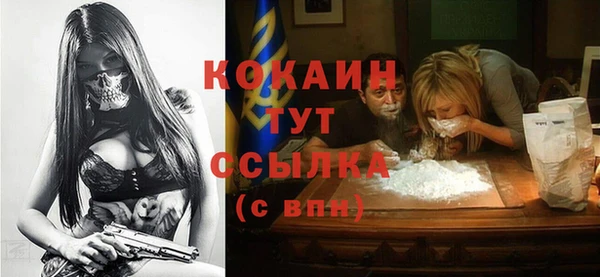молекула духа Ельня