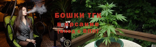молекула духа Ельня