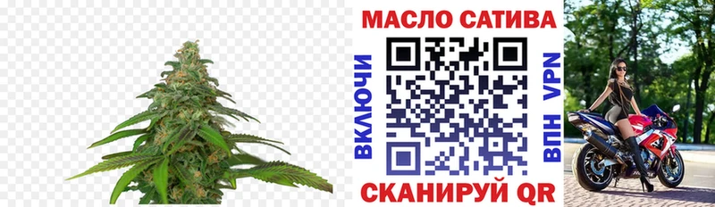 Купить где Игарка ТГК концентрат