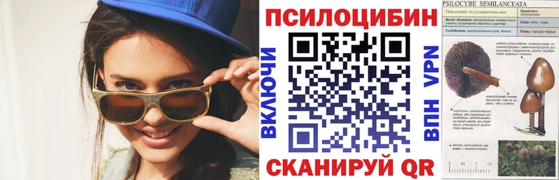 Купить где  Игарка  Псилоцибиновые грибы ЛСД 